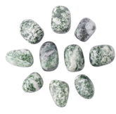 Lotus & Lapis Moss Agate Tumblestone